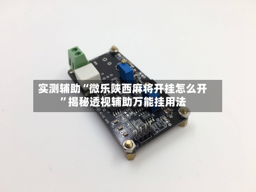 实测辅助“微乐陕西麻将开挂怎么开	”揭秘透视辅助万能挂用法-第2张图片