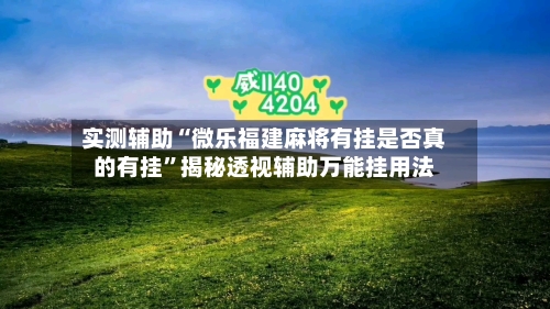 实测辅助“微乐福建麻将有挂是否真的有挂”揭秘透视辅助万能挂用法-第1张图片