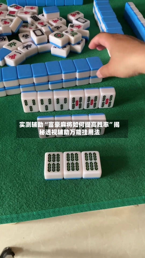 实测辅助“富豪麻将如何提高胜率	”揭秘透视辅助万能挂用法-第3张图片