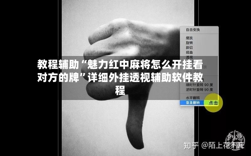 教程辅助“魅力红中麻将怎么开挂看对方的牌	”详细外挂透视辅助软件教程-第2张图片