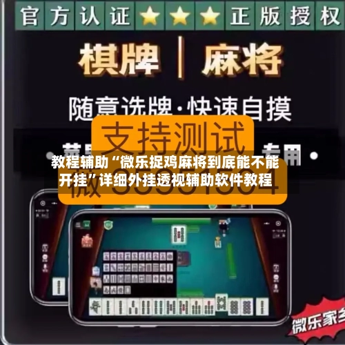 教程辅助“微乐捉鸡麻将到底能不能开挂”详细外挂透视辅助软件教程-第2张图片