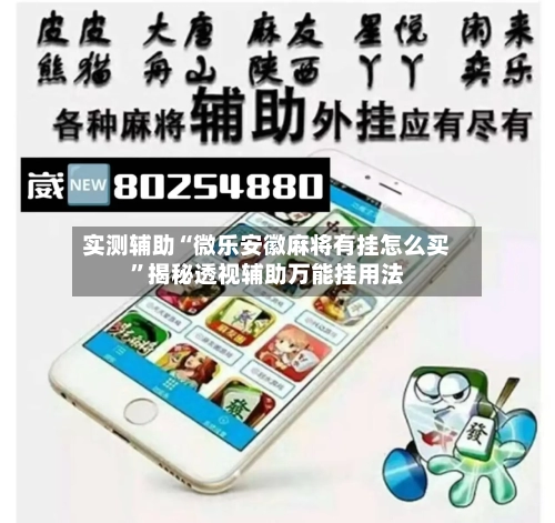 实测辅助“微乐安徽麻将有挂怎么买”揭秘透视辅助万能挂用法-第2张图片