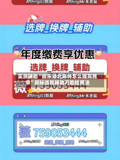 实测辅助“微乐湖北麻将怎么提高胜率”揭秘透视辅助万能挂用法-第1张图片