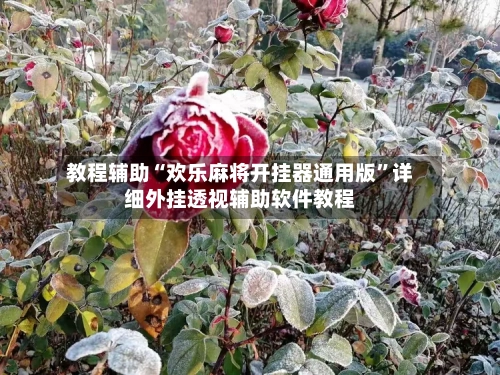 教程辅助“欢乐麻将开挂器通用版	”详细外挂透视辅助软件教程-第1张图片