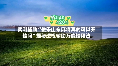 实测辅助“微乐山东麻将真的可以开挂吗”揭秘透视辅助万能挂用法-第1张图片