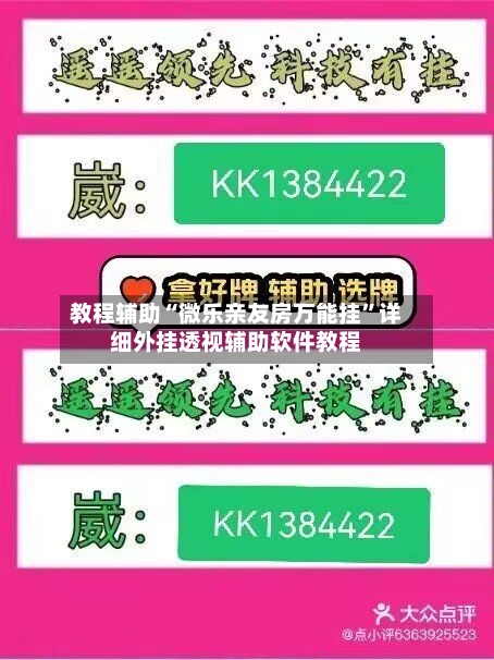 教程辅助“微乐亲友房万能挂	”详细外挂透视辅助软件教程-第3张图片