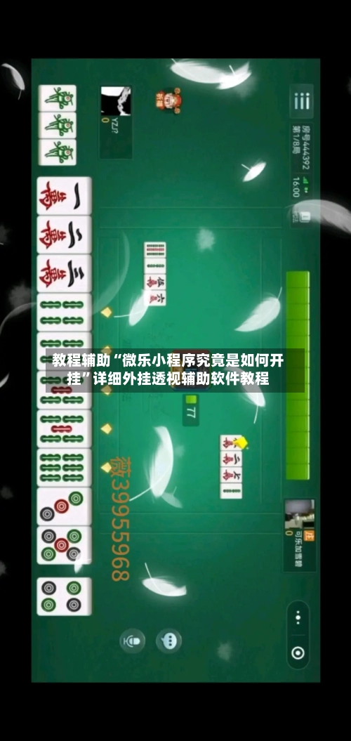 教程辅助“微乐小程序究竟是如何开挂”详细外挂透视辅助软件教程-第3张图片
