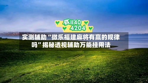 实测辅助“微乐福建麻将有赢的规律吗”揭秘透视辅助万能挂用法-第1张图片