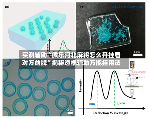 实测辅助“微乐河北麻将怎么开挂看对方的牌”揭秘透视辅助万能挂用法-第1张图片
