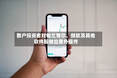 散户投资者对帕兰蒂尔、微软及其他软件股做出意外操作-第1张图片