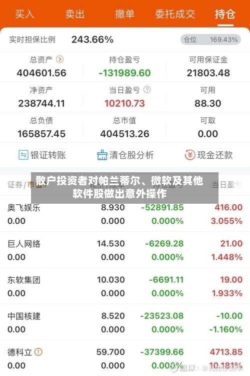 散户投资者对帕兰蒂尔、微软及其他软件股做出意外操作-第3张图片