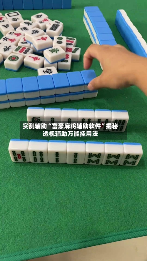 实测辅助“富豪麻将辅助软件”揭秘透视辅助万能挂用法-第2张图片