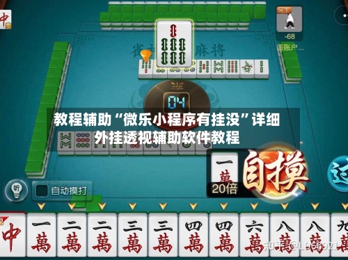 教程辅助“微乐小程序有挂没”详细外挂透视辅助软件教程-第1张图片