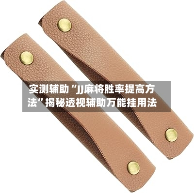 实测辅助“JJ麻将胜率提高方法”揭秘透视辅助万能挂用法-第1张图片