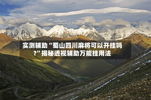 实测辅助“蜀山四川麻将可以开挂吗?	”揭秘透视辅助万能挂用法-第1张图片