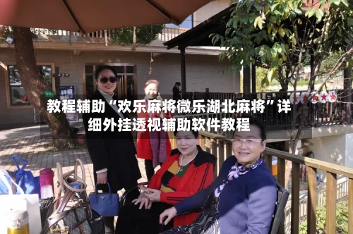 教程辅助“欢乐麻将微乐湖北麻将”详细外挂透视辅助软件教程-第1张图片