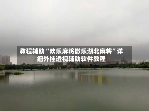 教程辅助“欢乐麻将微乐湖北麻将”详细外挂透视辅助软件教程-第2张图片