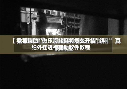 教程辅助“微乐河北麻将怎么开挂	”详细外挂透视辅助软件教程-第1张图片
