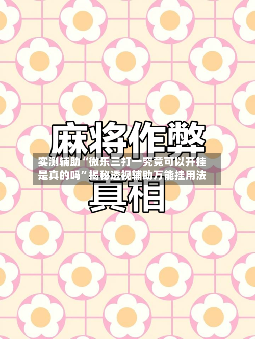 实测辅助“微乐三打一究竟可以开挂是真的吗”揭秘透视辅助万能挂用法-第1张图片
