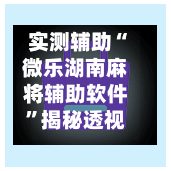 实测辅助“微乐湖南麻将辅助软件”揭秘透视辅助万能挂用法-第3张图片