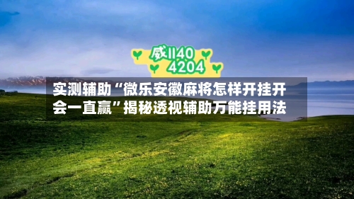 实测辅助“微乐安徽麻将怎样开挂开会一直赢”揭秘透视辅助万能挂用法-第1张图片