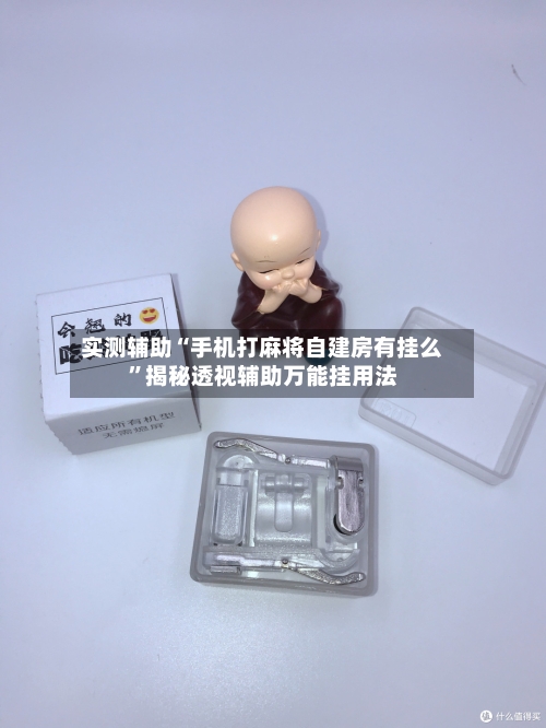 实测辅助“手机打麻将自建房有挂么	”揭秘透视辅助万能挂用法-第1张图片