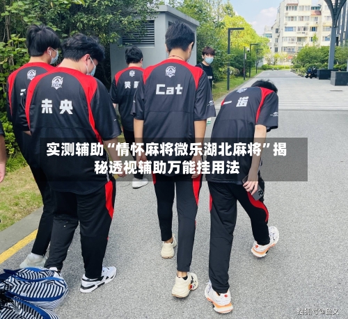 实测辅助“情怀麻将微乐湖北麻将”揭秘透视辅助万能挂用法-第3张图片