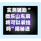 实测辅助“微乐山东麻将可以装挂吗”揭秘透视辅助万能挂用法-第2张图片