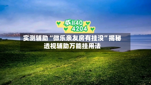 实测辅助“微乐亲友房有挂没”揭秘透视辅助万能挂用法-第1张图片