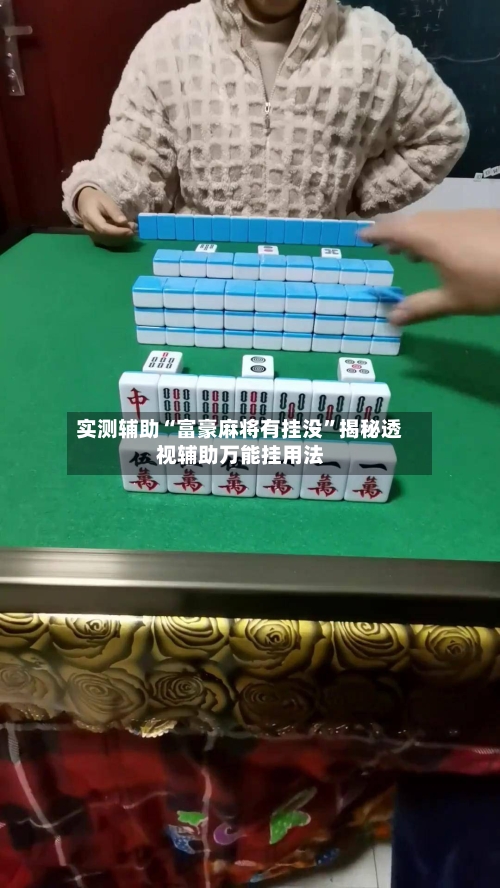 实测辅助“富豪麻将有挂没”揭秘透视辅助万能挂用法-第3张图片