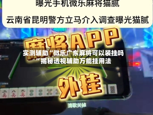 实测辅助“微乐广东麻将可以装挂吗	”揭秘透视辅助万能挂用法-第3张图片