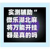 实测辅助“微乐湖北麻将万能开挂器是真的吗	”揭秘透视辅助万能挂用法-第1张图片