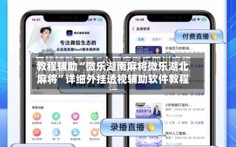 教程辅助“微乐湖南麻将微乐湖北麻将”详细外挂透视辅助软件教程-第3张图片