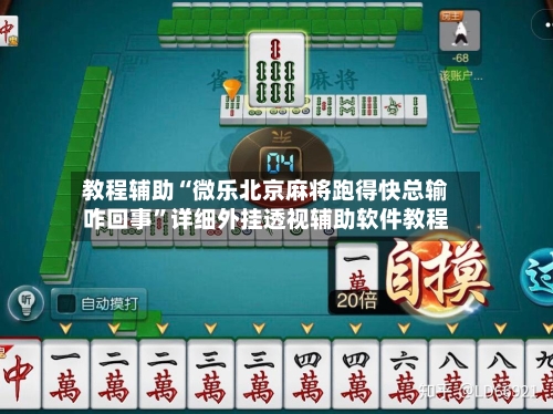 教程辅助“微乐北京麻将跑得快总输咋回事	”详细外挂透视辅助软件教程-第3张图片