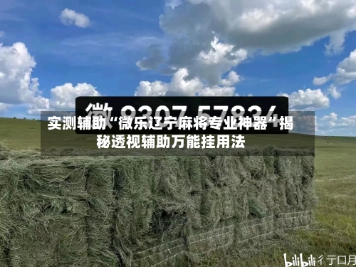 实测辅助“微乐辽宁麻将专业神器”揭秘透视辅助万能挂用法-第2张图片