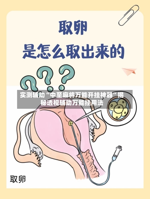 实测辅助“中至麻将万能开挂神器	”揭秘透视辅助万能挂用法-第1张图片