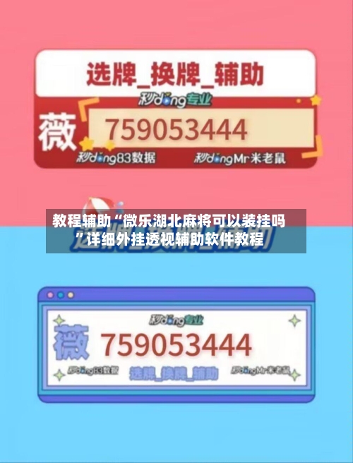 教程辅助“微乐湖北麻将可以装挂吗”详细外挂透视辅助软件教程-第2张图片