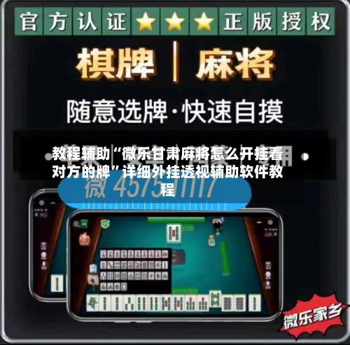 教程辅助“微乐甘肃麻将怎么开挂看对方的牌”详细外挂透视辅助软件教程-第3张图片