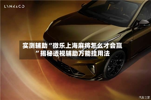 实测辅助“微乐上海麻将怎么才会赢”揭秘透视辅助万能挂用法-第3张图片