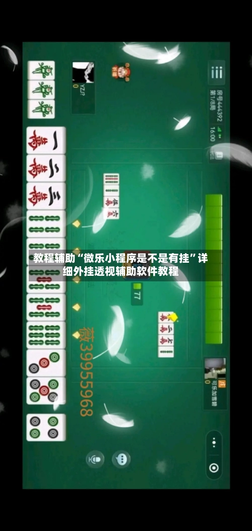 教程辅助“微乐小程序是不是有挂	”详细外挂透视辅助软件教程-第2张图片