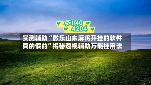 实测辅助“微乐山东麻将开挂的软件真的假的”揭秘透视辅助万能挂用法-第2张图片
