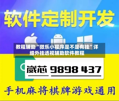 教程辅助“微乐小程序是不是有挂”详细外挂透视辅助软件教程-第3张图片
