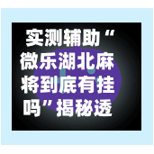 实测辅助“微乐湖北麻将到底有挂吗”揭秘透视辅助万能挂用法-第3张图片