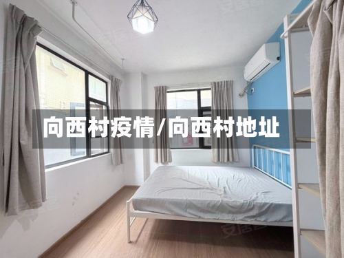 向西村疫情/向西村地址-第2张图片