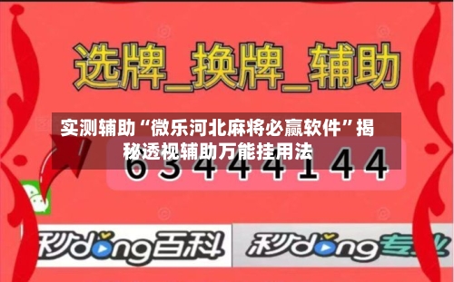 实测辅助“微乐河北麻将必赢软件	”揭秘透视辅助万能挂用法-第2张图片