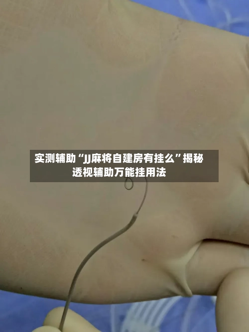 实测辅助“JJ麻将自建房有挂么”揭秘透视辅助万能挂用法-第1张图片