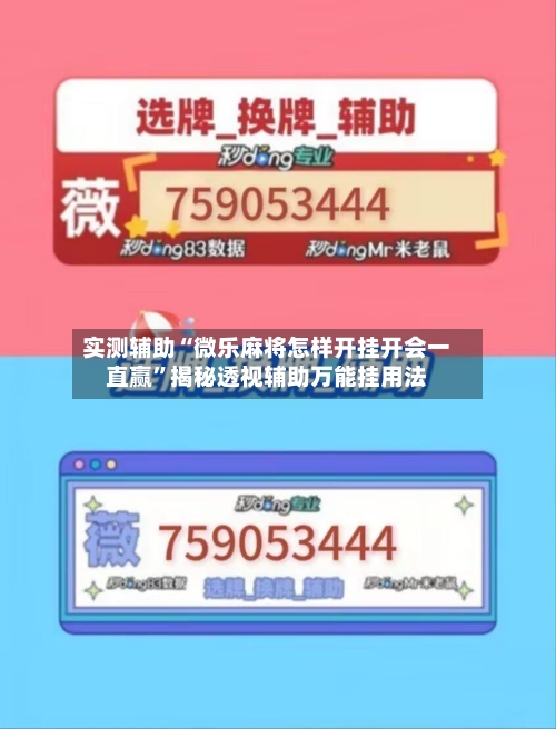实测辅助“微乐麻将怎样开挂开会一直赢”揭秘透视辅助万能挂用法-第2张图片