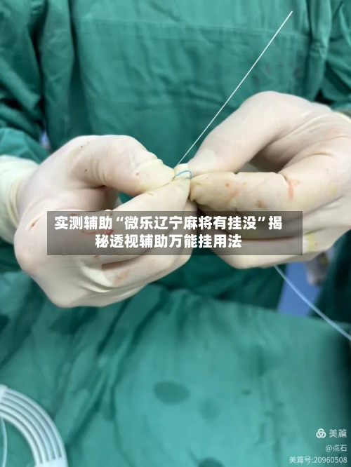 实测辅助“微乐辽宁麻将有挂没”揭秘透视辅助万能挂用法-第2张图片