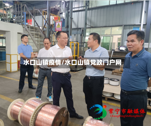 水口山镇疫情/水口山镇党政门户网-第3张图片