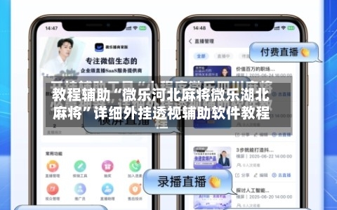 教程辅助“微乐河北麻将微乐湖北麻将	”详细外挂透视辅助软件教程-第1张图片